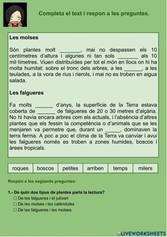 Compprensió lectora 06