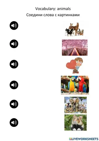 Vocabulary: animals
