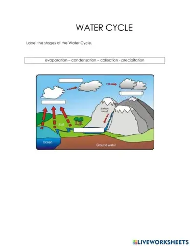 Water Cycle