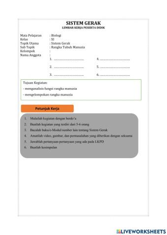 Rangka Tubuh Manusia