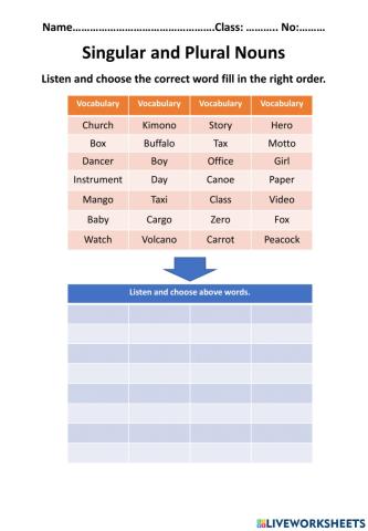 Singular and Plural Noun