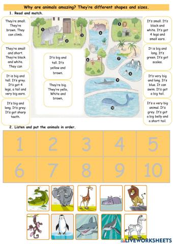 BI2 U5 Lesson 2 - Animals Vocabulary