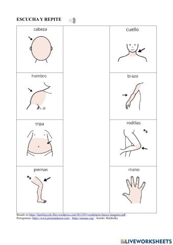 Vocabulario básico 16