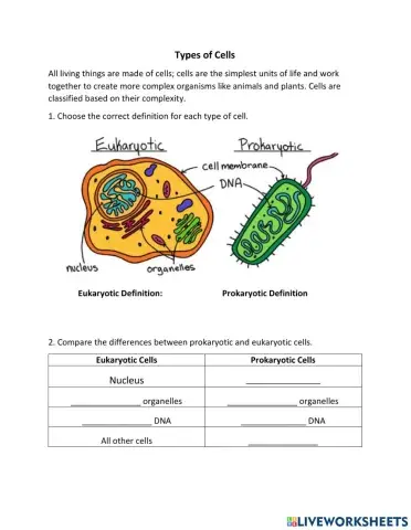 Types of Cells