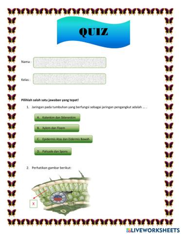 Quiz