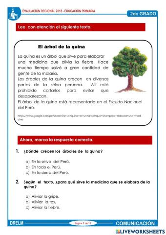 Comprensión lectora