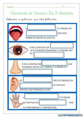 Os 5 Sentidos