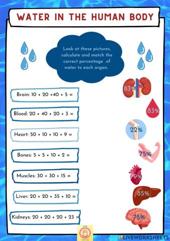 Human organs and water