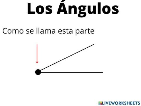 Ejercicio los ángulos