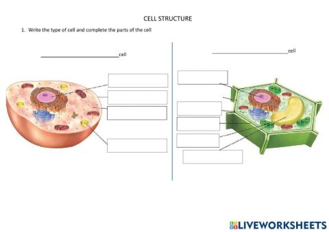 Cell parts