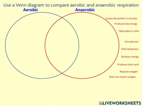 Venn diagram of respiration