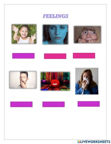 Feeling and personality