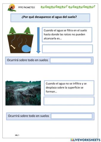 Infiltración y escorrentía