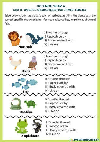Specific Characteristics of Vertebrates