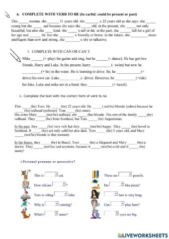 Exam, Veb TOBE, Can, Pronouns