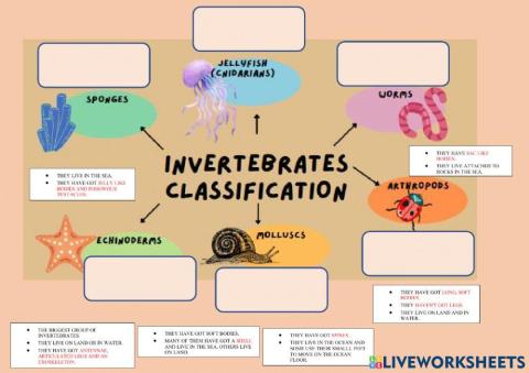 Invertebrates classification