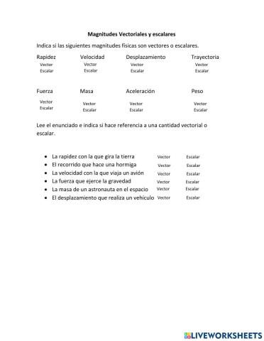 Magnitudes escalares y vectoriales