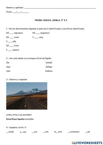 Prueba Inicial 3º primaria