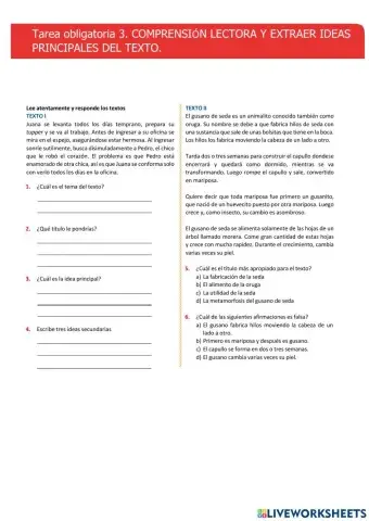 Extraer ideas principales, tema y resumir