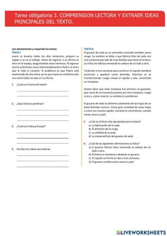 Extraer ideas principales, tema y resumir