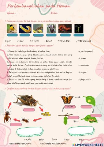 Perkembangbiakan Hewan