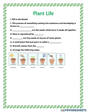 Plant Life Grade 5 ACTIVITY