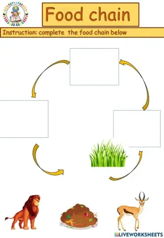 Food chain