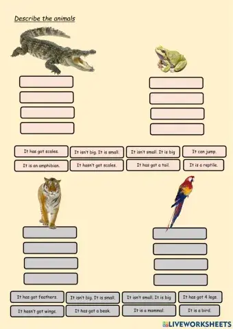 Animals descriptions