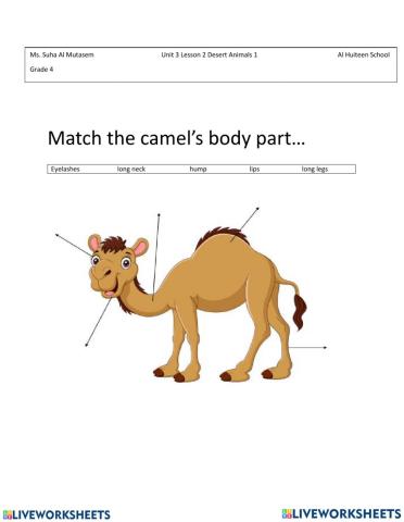 Add link and youtube video about Camel