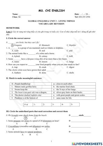 Foreign Teacher-S6-WEEK 10-U3-VOCAB REVISION