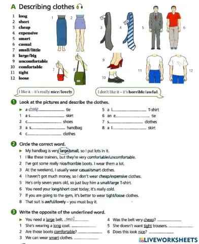 Basic Vocabulary-19 Buying clothes