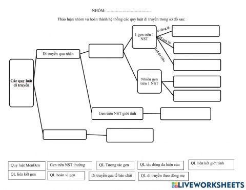 Ôn tập quy luật di truyền