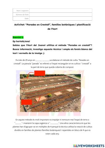 Flipped Classroom Planificació Hort