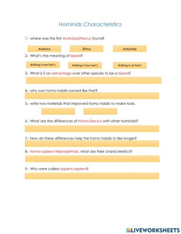 Homonids characteristcs