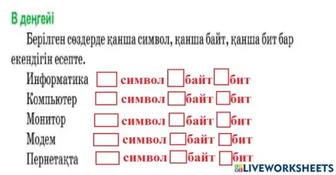 Инфоматика