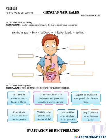 Conocimiento general