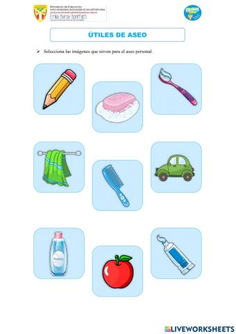 Útiles de Aseo