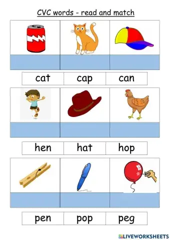 CVC word - read and match