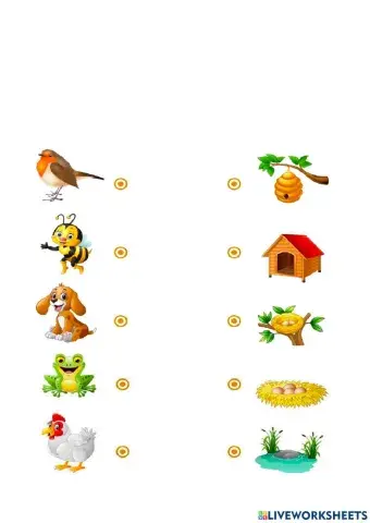 Where do animals live?