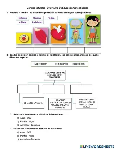 Evaluación de Recuperación  CCNN8