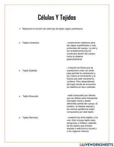 Células Y Tejidos