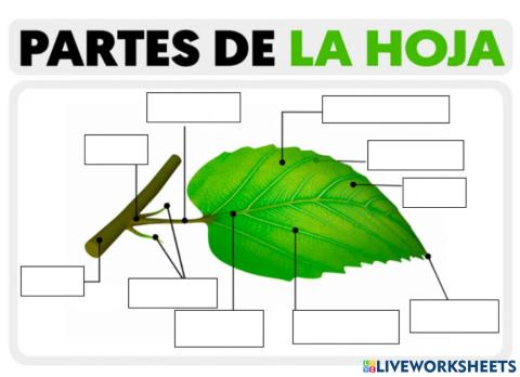 Ciencia tecnologia y ambiente