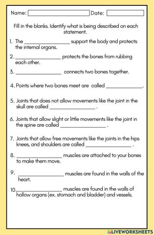 Bones and Muscles Worksheet