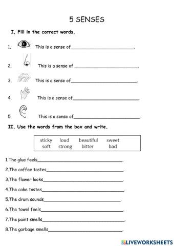 5 senses