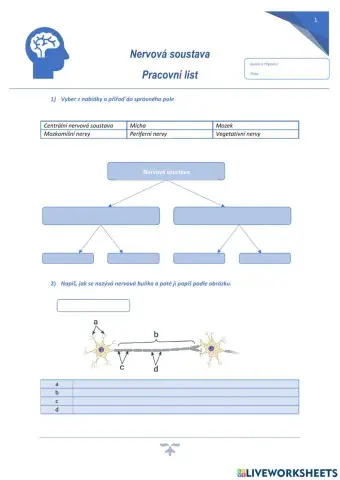 Nervová soustava - praconí list