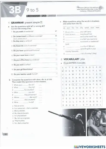 Present simple questions