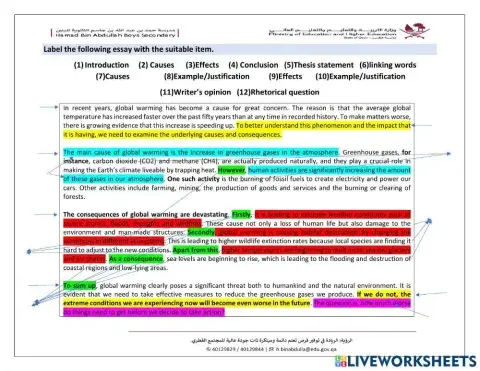 Grade 11 Cause-effect essay