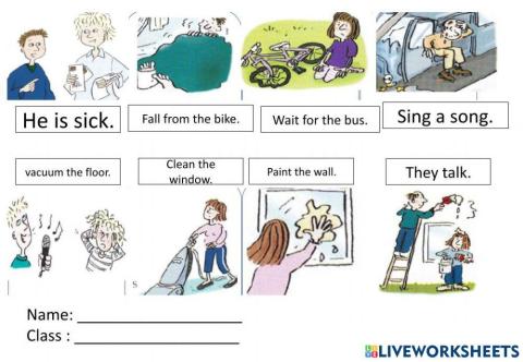 Label the correct picture