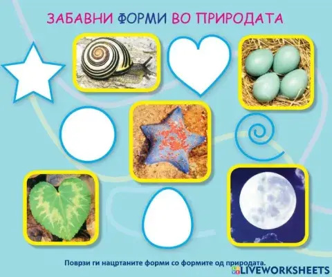 Форми (Во соработка со Росица)