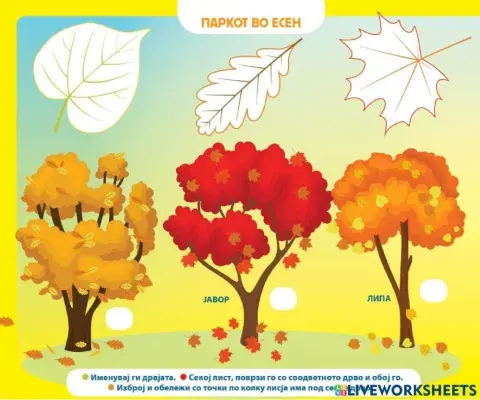 Поврзи и изброи (Во соработка со Росица)